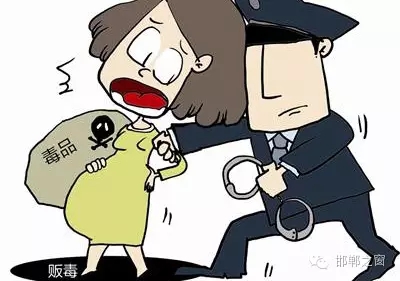 2016年初，涉縣警方查獲一起涉毒案件，鑒于該案涉案人員多、毒品交易量大，涉縣警方立即將案情上報(bào)，被公安部確立為“目標(biāo)-2016-314”號(hào)毒品案件。涉縣警方成立專案組，經(jīng)過(guò)多方追查，先后抓獲團(tuán)伙人員13名，繳獲毒品5349克，并查明上線“濮姐”的真實(shí)身份為陳某。